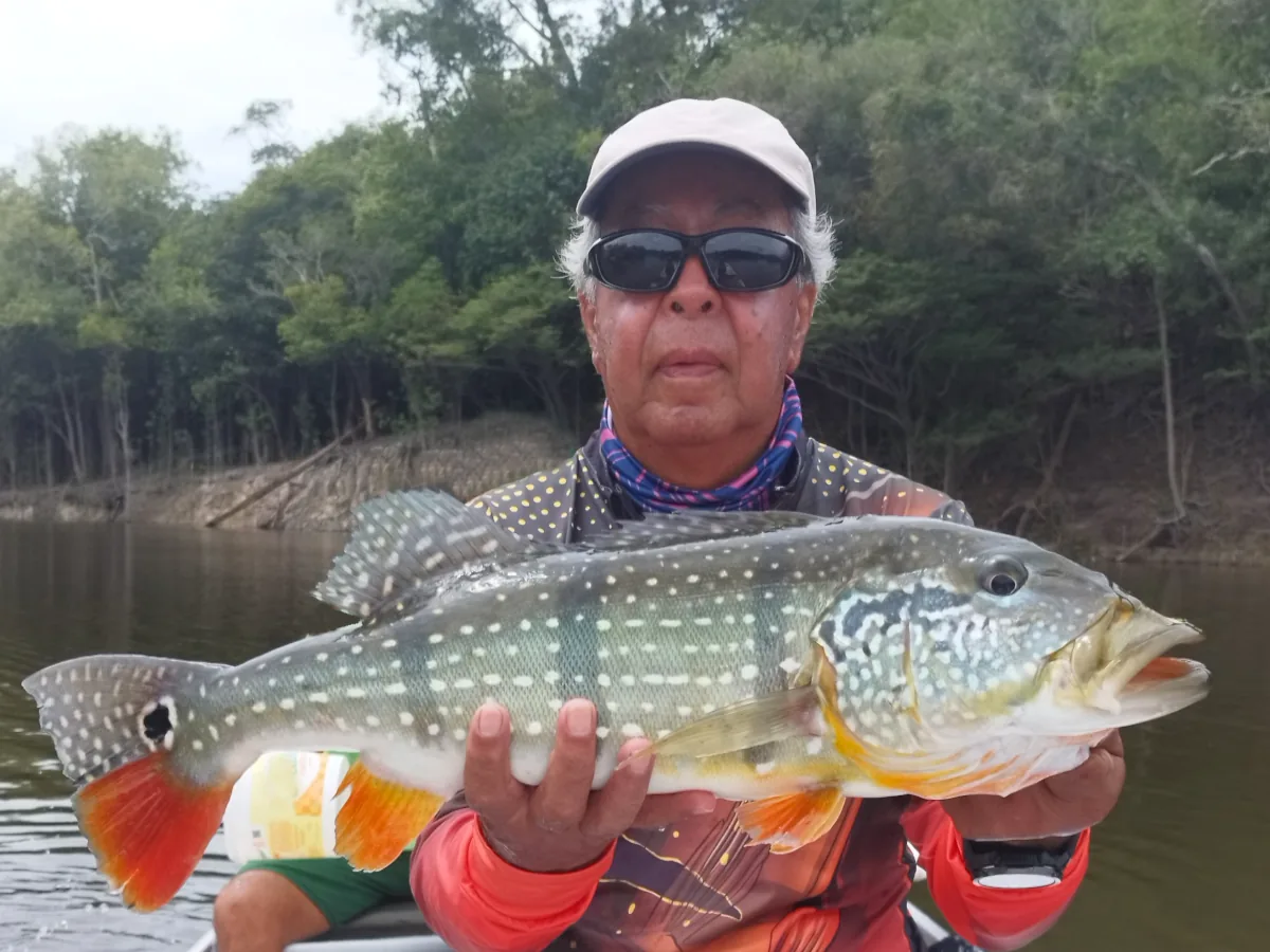 pousada em rio preto da eva, pesca esportiva no amazonas