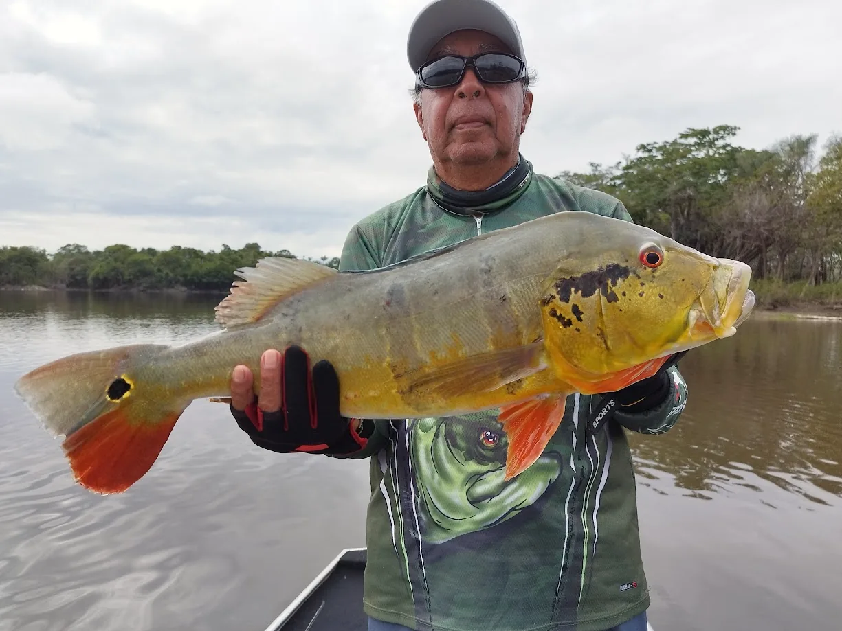 pousada em rio preto da eva, pesca esportiva no amazonas
