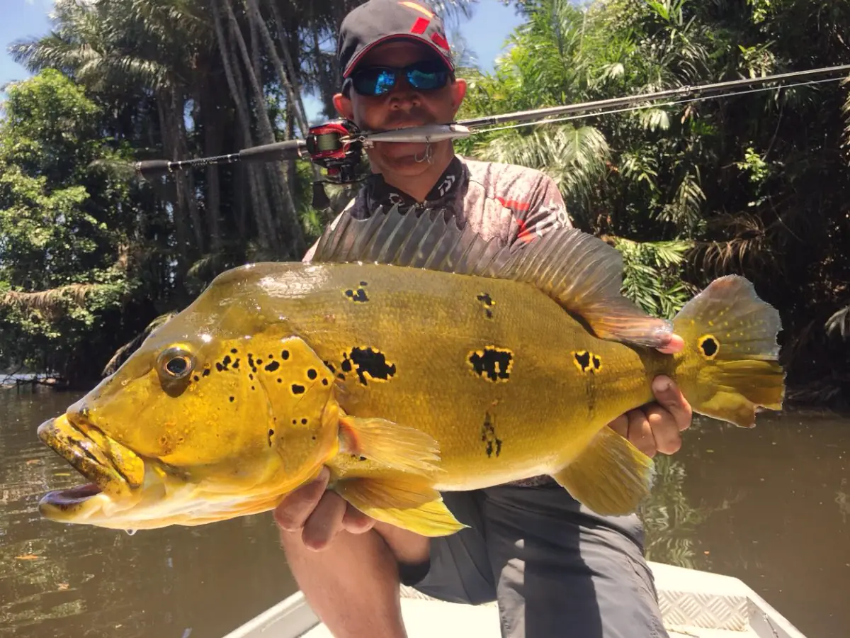 pousada no rio Trombetas, pesca esportiva no Pará
