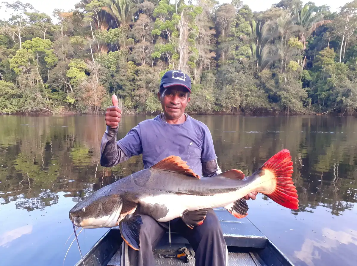 Sul do Amazonas, pesca esportiva nos rios Juruena e Teles Pires — Tucuna Turismo Fishing