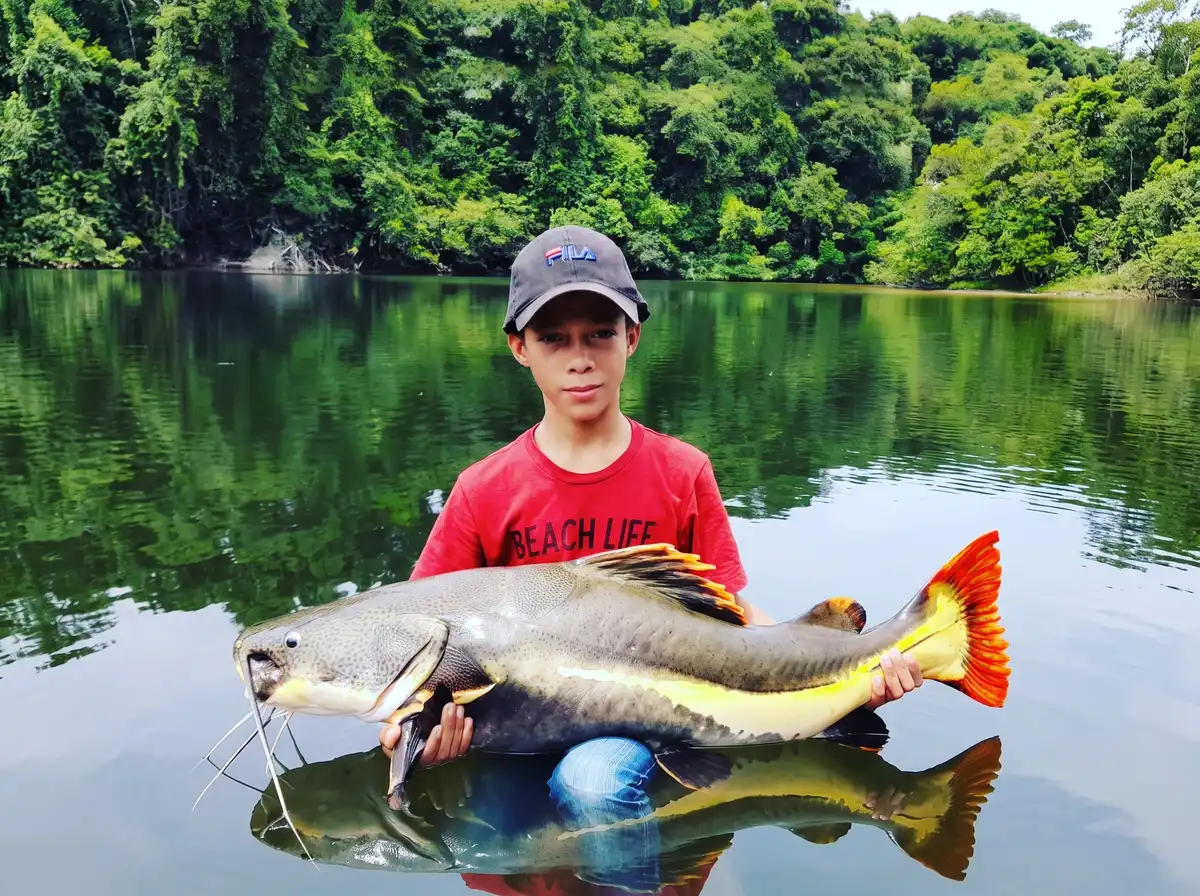 Sul do Amazonas, pesca esportiva nos rios Juruena e Teles Pires — Tucuna Turismo Fishing