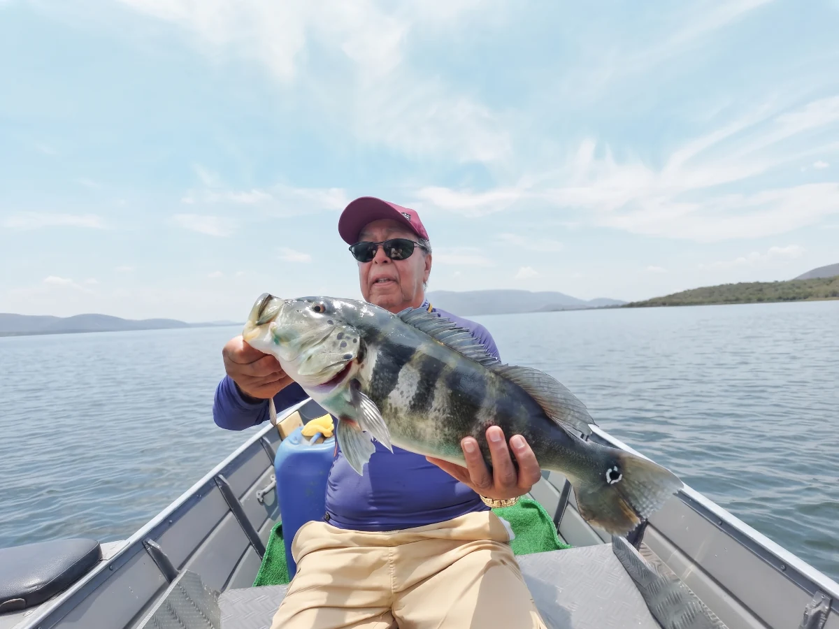 pescaria no serra da mesa, pesca do tucunare, rancho no lago serra da mesa